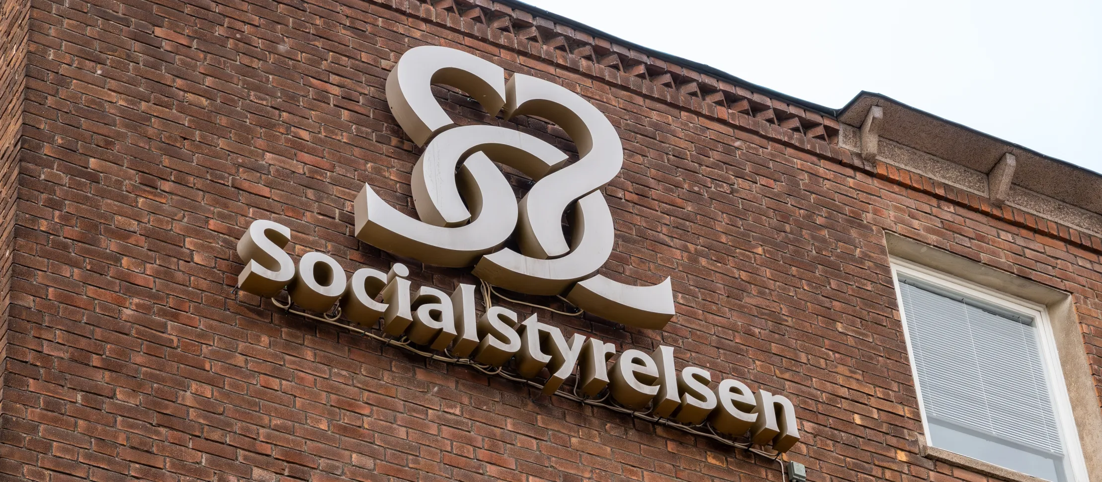 Swedish Transgender Treatment Guidelines for Youth
