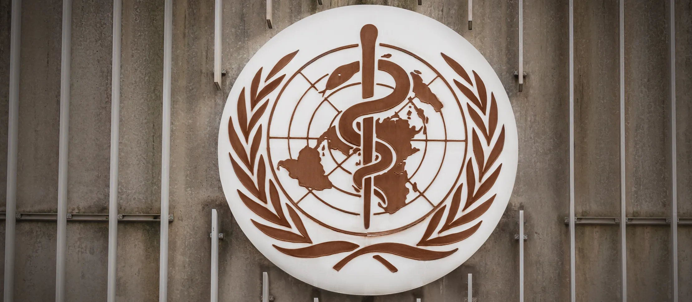 The World Health Organization Clarifies its Plans to Issue Guidelines on Trans and Gender Diverse People—Significant Concerns Remain
